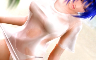 anime girl beach bikini swim suit dead or alive wallpaper